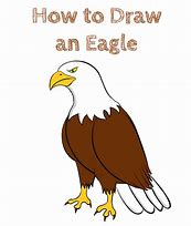 Image result for How to Draw Cartoon Eagle