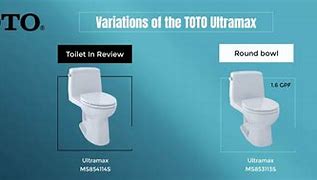 Image result for Toto Toilets Colors Available