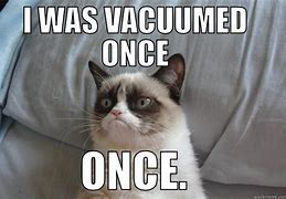 Image result for Floating White Cat Vacuum Meme