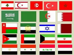 Image result for Middle East Flags