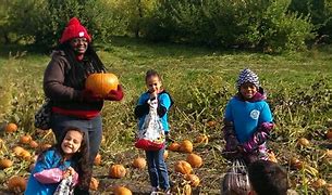 Image result for Down On the Farm Pumpkins and Apple's