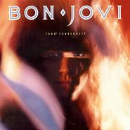 Image result for Bon Jovi Album Art