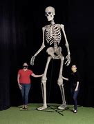 Image result for Giant 12 Feet Skeleton