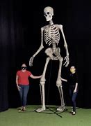 Image result for 12' Skeleton