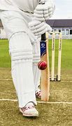 Image result for Cricket Test.bat