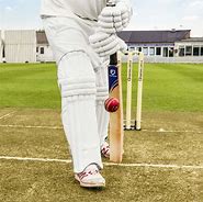 Image result for Cricket Bat Line