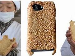 Image result for Wildflower Case iPhone 5