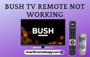 Image result for Bush TV Reset Button