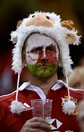 Image result for Rugby Fans