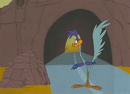 Image result for Adventures of the Road Runner