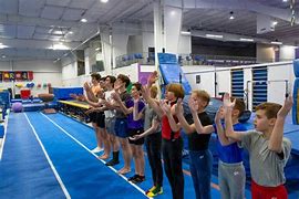 Image result for Netherlands Boys Gymnastics