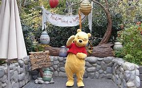 Image result for Photos Winnie the Pooh Characters in 100 Acre Wood