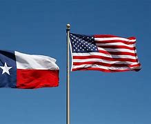 Image result for Texas Flag
