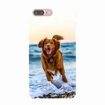 Image result for iPhone Nap Case Cat