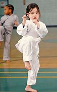 Image result for The Martial Arts Kid Women