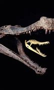 Image result for Sarcosuchus Crocodile