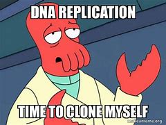 Image result for Lost the DNA Memes