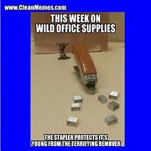 Image result for Hilarious Office Memes