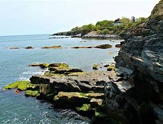 Image result for Rhode Island Cliff Walk
