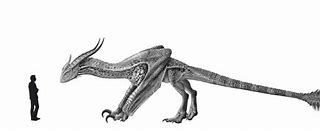 Image result for Realistic Wyvern Anatomy