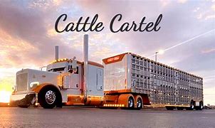 Image result for Cattle Cartel Purple Storm