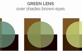 Image result for Contact Lenses for Dark Brown Eyes