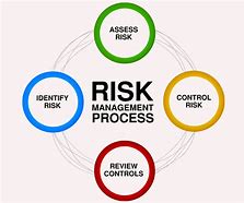 Image result for risk management