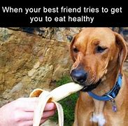 Image result for Funny Adults Eating