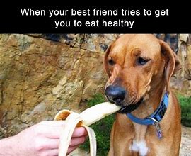 Image result for Funny Healthy Life So