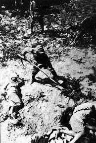 Image result for Nanking Massacre