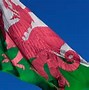 Image result for Welsh Red Dragon