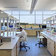 Image result for lab pictures