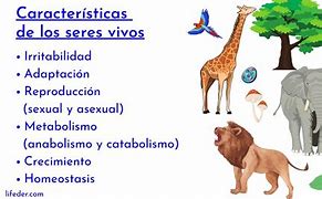Image result for Caracteristicas Comunes De Los Seres Vivos