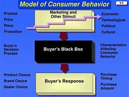 Image result for Consumer Behavior