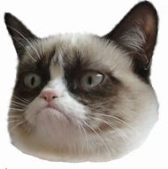 Image result for Grumpy Cat Coffee Meme