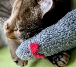 Image result for Organic Catnip Mouse Toy