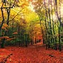 Image result for PA Fall Leaves