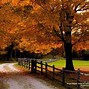 Image result for New England Fall Foliage Desktop Wallpaper
