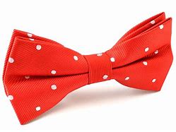 Image result for Polka Dot Bow Tie