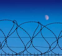 Image result for Barbed Wire Star
