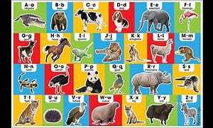 Image result for Alphabet Animals A to Z Book