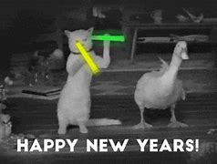 Image result for Happy New Year Animal Meme