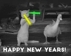 Image result for Funny Animal Happy New Year GIF