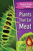 Image result for Plant-Based Protein Meat