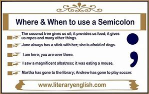 Image result for Semicolon English