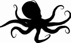 Image result for Octopus Shillouette From Bottom