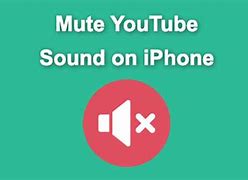 Image result for iPhone Mute Switch