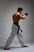 Image result for Martial Arts Action Poses