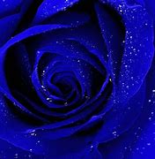 Image result for Blue Flow Wallpaper