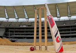 Image result for Cricket Stumps Bat